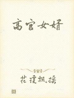 高官女婿