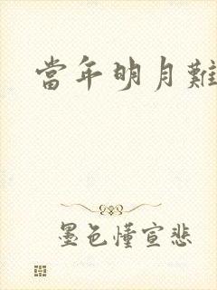 当年明月难寻封面