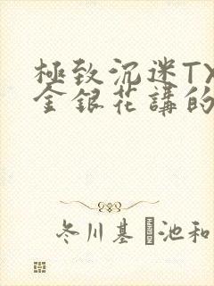 极致沉迷TXL金银花讲的什么封面