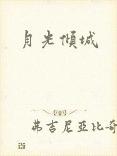 月光倾城封面