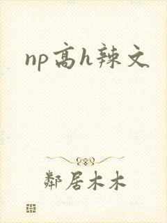 np高h辣文