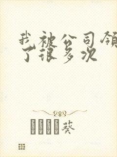 我被公司领导C了很多次