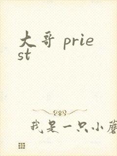 大哥 priest