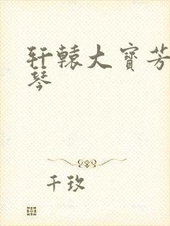 轩辕大宝芳菲雅琴