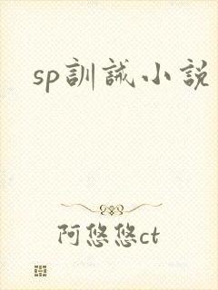 sp训诫小说