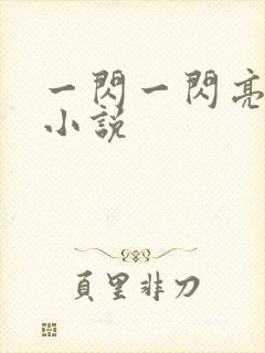 一闪一闪亮星星小说