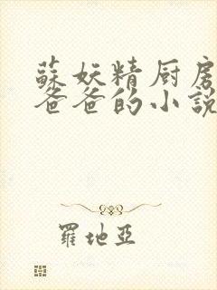 苏妖精厨房爹爹爸爸的小说