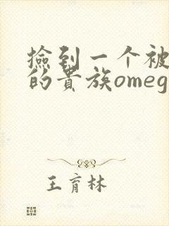 捡到一个被抹布的贵族omega