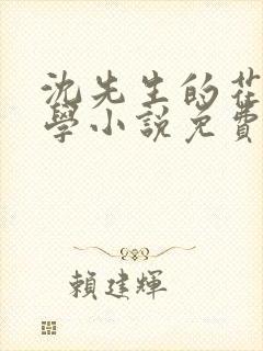 沈先生的花式教学小说免费