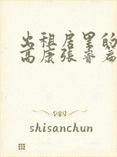出租房里的交互高康张睿篇