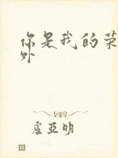 你是我的荣耀番外