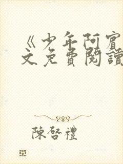 《少年阿宾》全文免费阅读