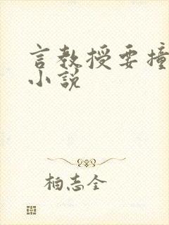 言教授要撞坏了小说