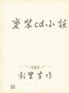 变装cd小说封面