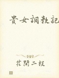 贵女调教记