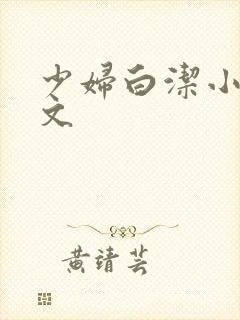 少妇白洁小说全文