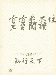 偷偷藏不住小说免费阅读封面