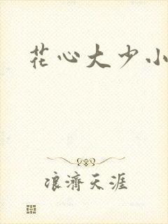 花心大少小说