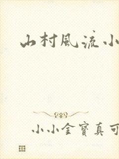 山村风流小说