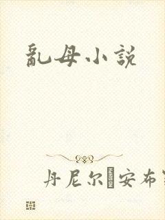 乱母小说
