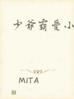 少爷霸爱小丫头