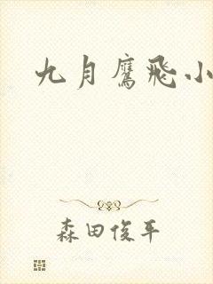 九月鹰飞小说