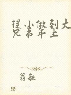 从小做到大骨科兄弟年上