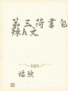 第三荷书包网高辣h文