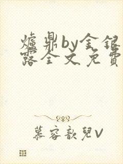 炉鼎by金银花露全文免费阅读笔趣阁