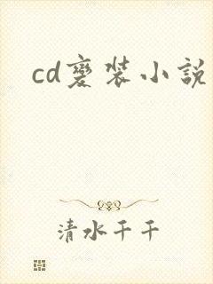 cd变装小说