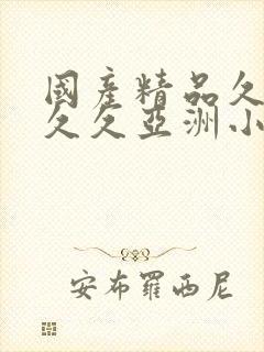 国产精品久久久久久亚洲小说封面