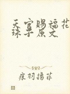 天官赐福花怜塞珠子原文