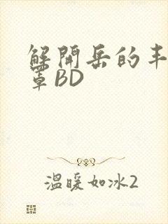 解开岳的丰满奶罩BD