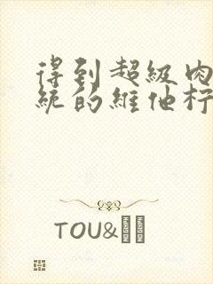 得到超级肉禽系统的维他柠檬茶