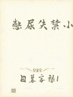 憋尿失禁小说封面