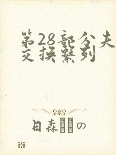 第28部分夫妇交换系列封面