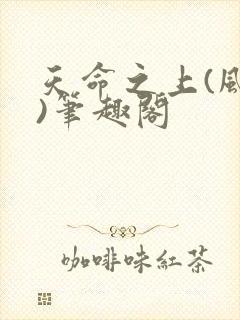 天命之上(风月)笔趣阁