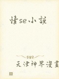 情se小说