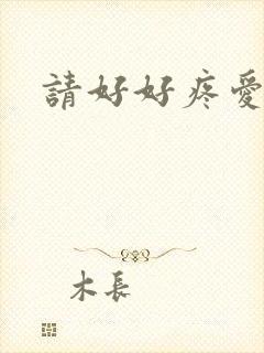 请好好疼爱里面