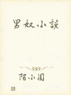 男奴小说封面