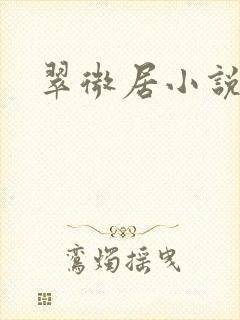 翠微居小说