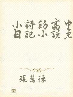 小诗的高中成长日记小说免费阅读