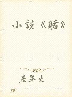 小说《赌》封面