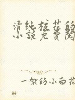 清纯校花的秘密小说免费阅读