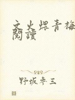 文火煨青梅免费阅读