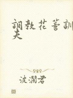 调教花蒂训诫从夫