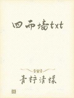 四面墙txt