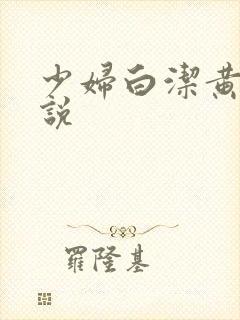 少妇白洁黄色小说