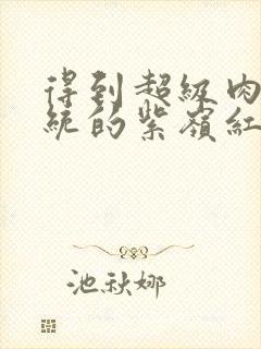 得到超级肉禽系统的紫岭红山封面