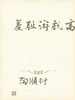 羞耻游戏高h封面